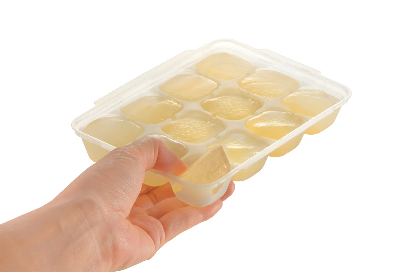 Richell Baby Food Freezer Tray (7967033327650)