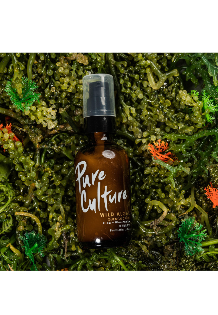 Pure Culture Wild Algae Quench Créme | Moisturizer for Oily Face | Niacinamide | For Oily Skin Hydration (7955559252002)