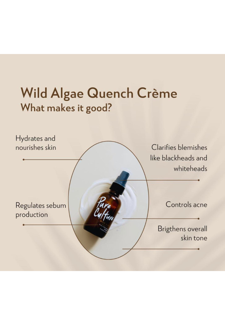 Pure Culture Wild Algae Quench Créme | Moisturizer for Oily Face | Niacinamide | For Oily Skin Hydration (7955559252002)