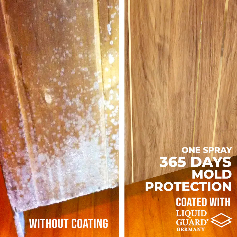 Liquid Guard Germany Anti-Mold/Anti-Virus Protection: For Hard Surfaces (100ml, 2 bottles) (7933382033442)