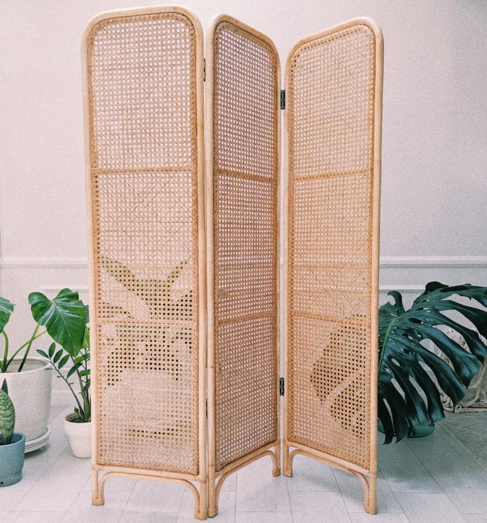 Tropical? - 3 Panel Divider (6538022060066)