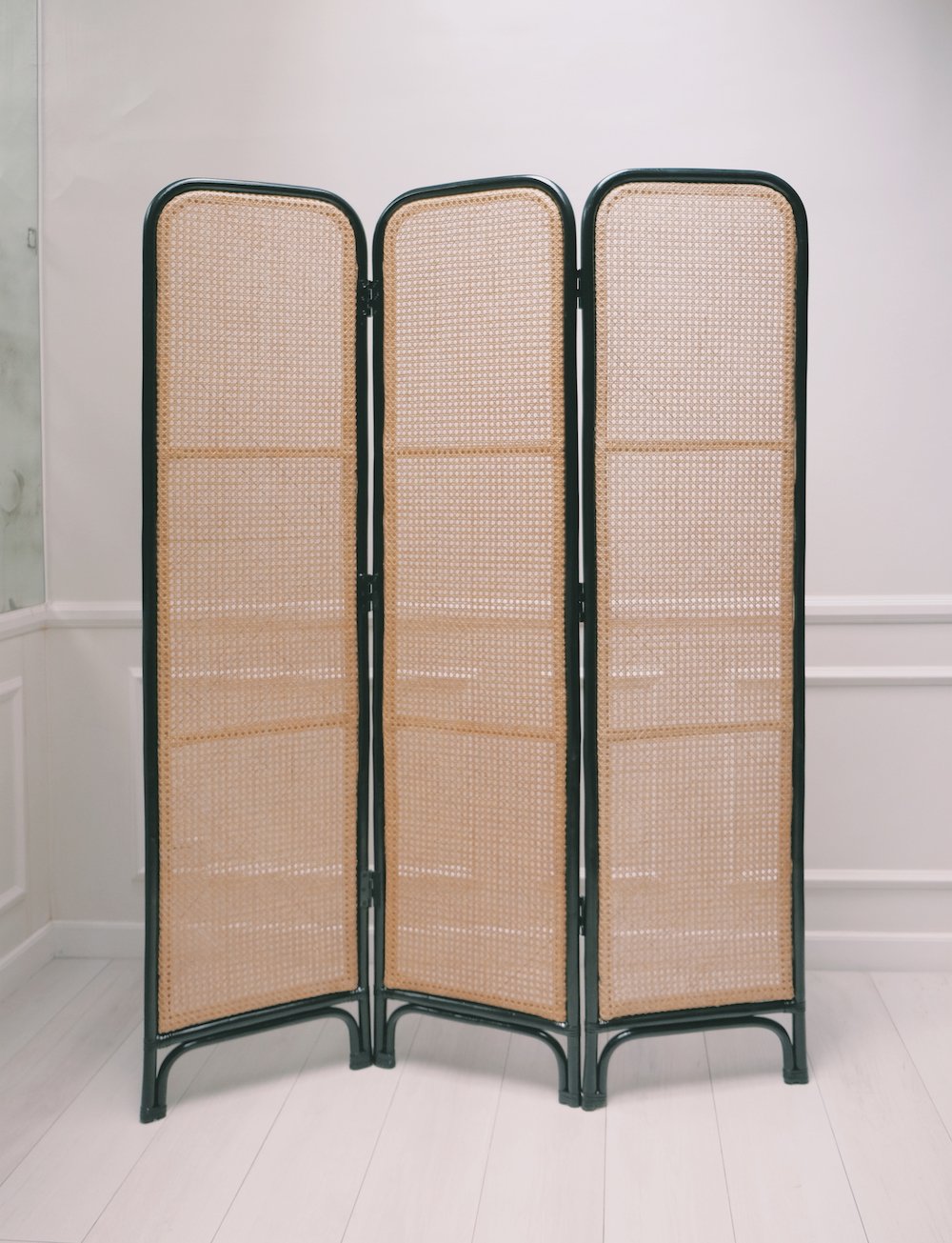 Tropical? - 3 Panel Divider (6538022060066)