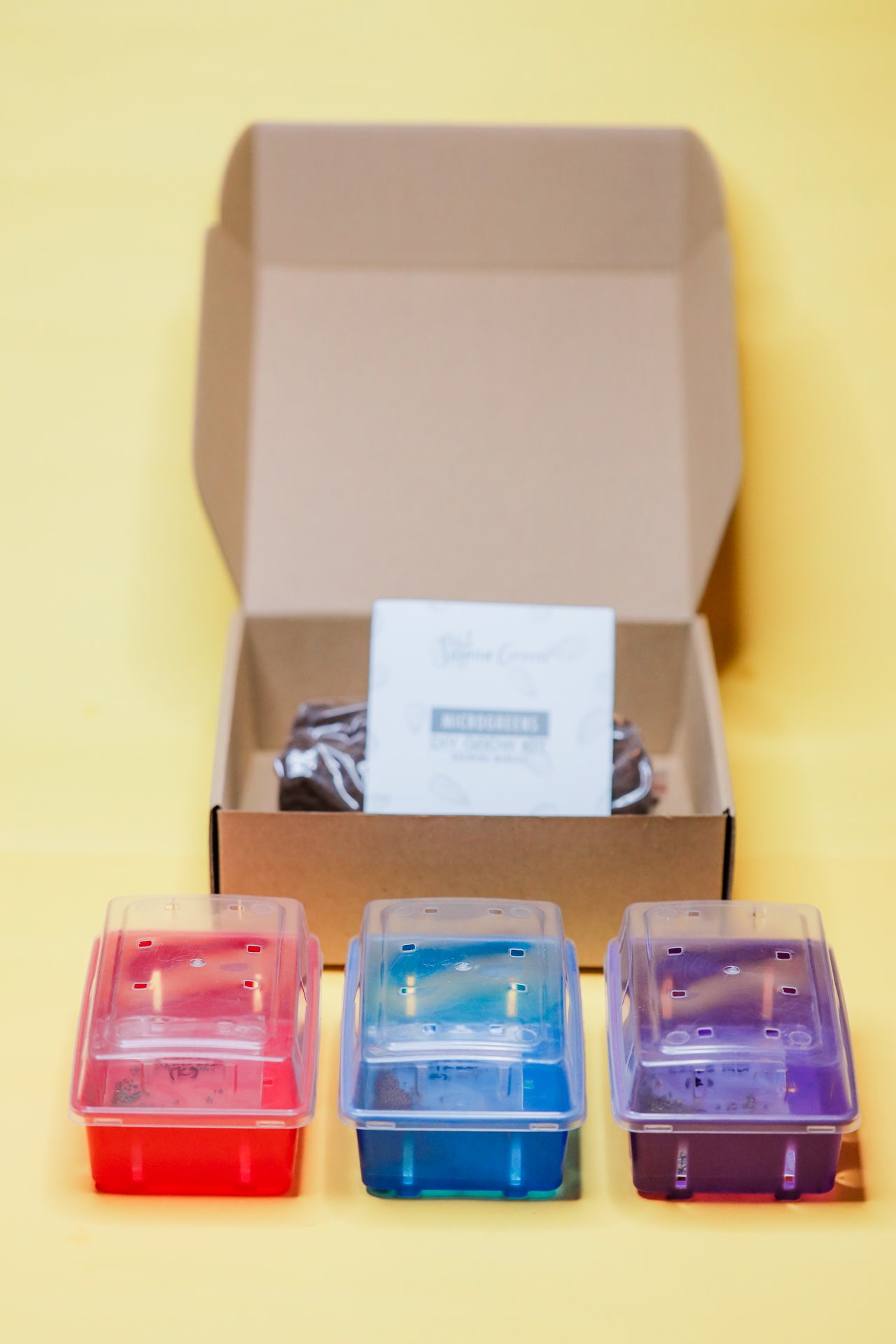 Solana Greens - Mini Grow Kits Version 2 (4797204955170)