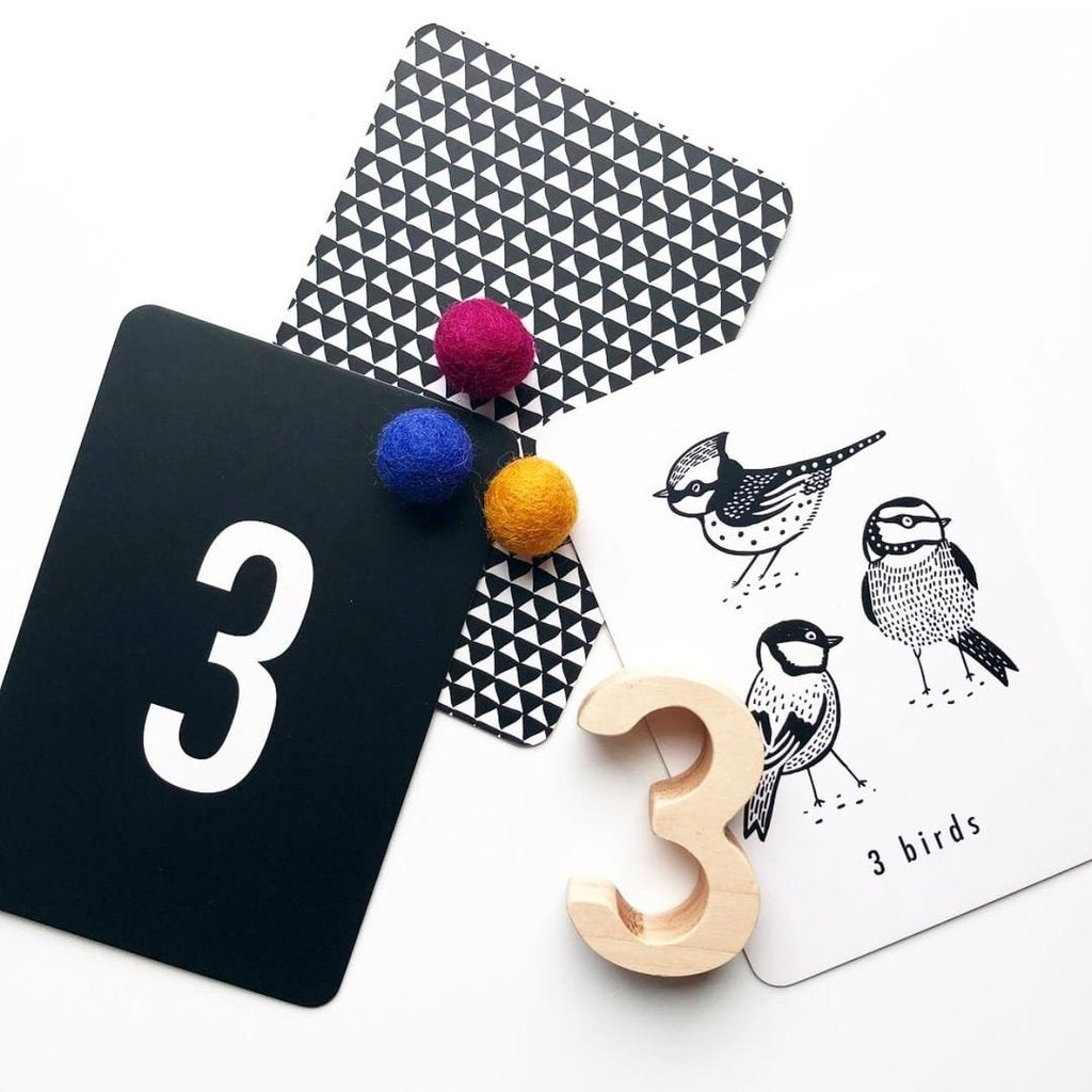 Mommykins PH - Wee Gallery Nature Number Cards (4853322252322)