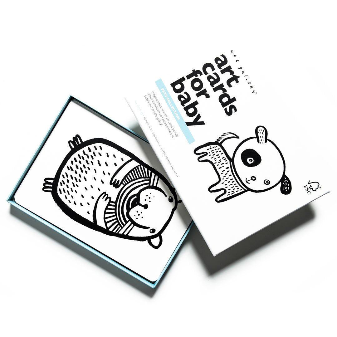 Mommykins PH - Wee Gallery Art Cards for Baby (4853318287394)