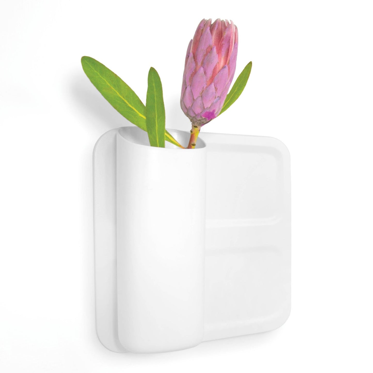 Simply Modular - Perch Twiggy (4797342777378)