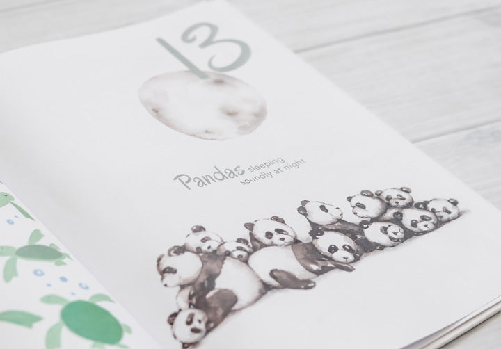 Clean Beauty Society - Adored Illustrations The Incredible 123 Book (4838411436066)