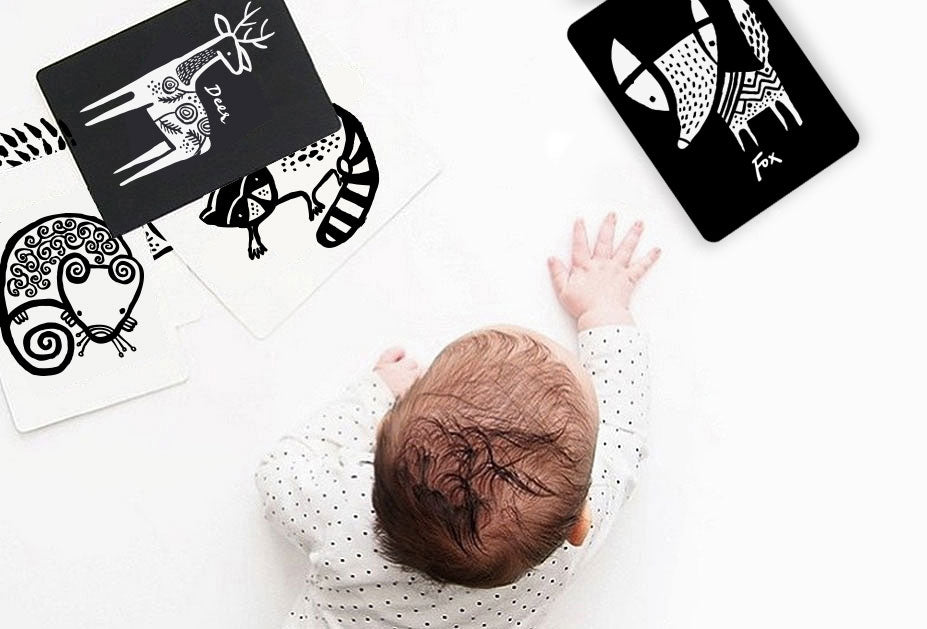 Mommykins PH - Wee Gallery Art Cards for Baby (4853318287394)