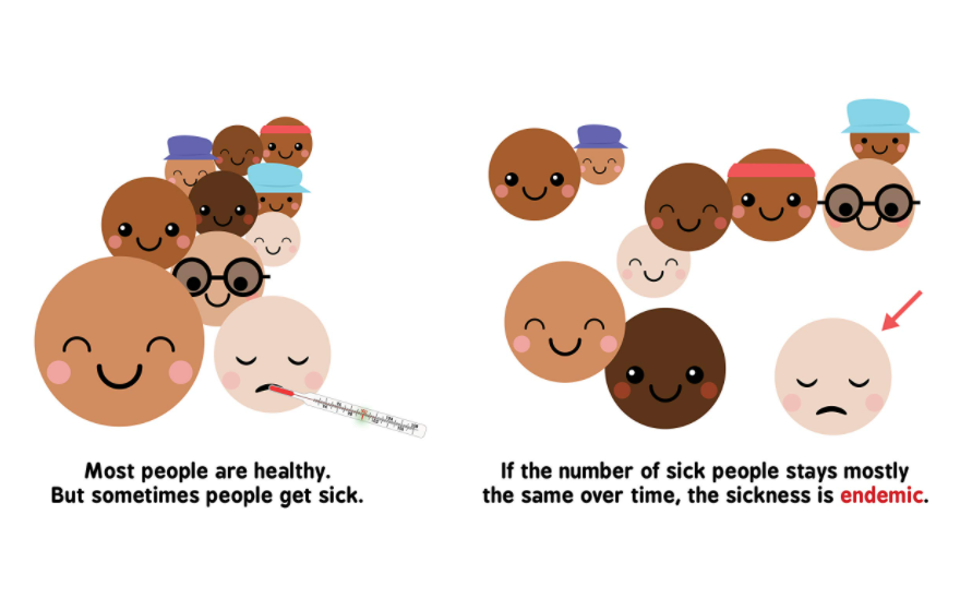 By the Bay - Pandemics for Babies STEM board book (6589431742498)