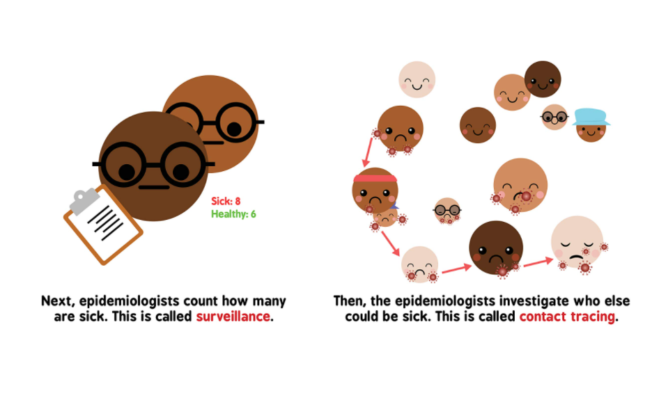 By the Bay - Pandemics for Babies STEM board book (6589431742498)