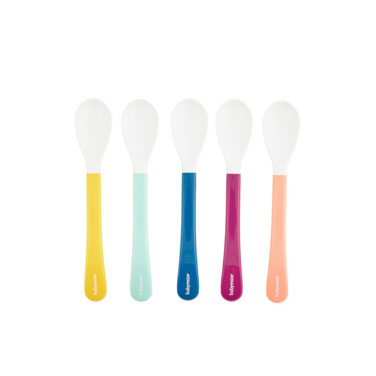 Babymoov - 2nd Age Multicolor Spoon Set of 5 (7974964822050)