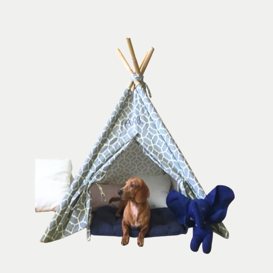 Momzilla - Fun Nest TEE PEE (8045097287714)