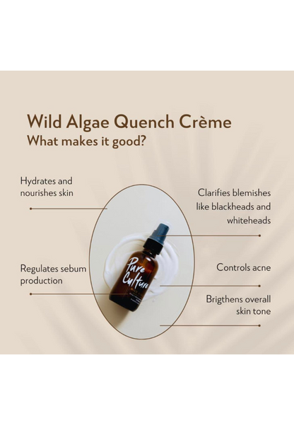 Pure Culture Wild Algae Quench Créme | Moisturizer for Oily Face | Niacinamide | For Oily Skin Hydration (7955559252002)