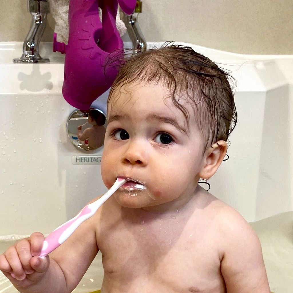 babybrush - Firstbrush (7964539617314)