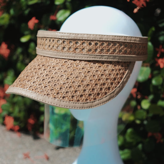 Face Shield with Visor (6538022158370)