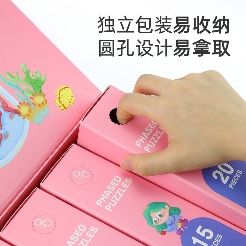 Pinwheel - Phased Puzzle Level 7 (6566662635554)