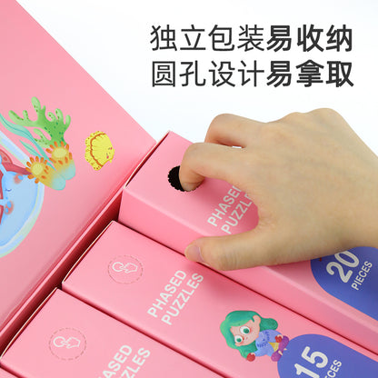 Pinwheel - Phased Puzzle Level 4 (6566662766626)