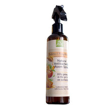 Load image into Gallery viewer, Stayfresh! Canada - Natural Antibacterial Room Spray 500ml (4849057202210)
