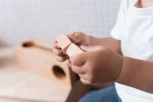 Little Luke - Eguchi Toys Montessori Lock Block (7005106208802)