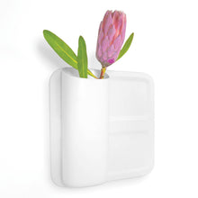 Load image into Gallery viewer, Simply Modular - Perch Twiggy (4797342777378)
