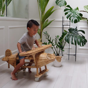 Tropical? - Airplane (2-in-1 toy) (6538022256674)