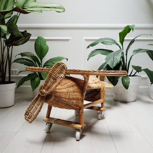 Tropical? - Airplane (2-in-1 toy) (6538022256674)