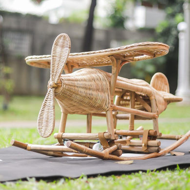 Tropical? - Airplane (2-in-1 toy) (6538022256674)