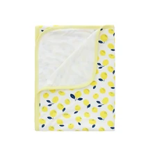 Bamberry - Bamboo Stretch Swaddle (Fruit Series) (4560854548514)